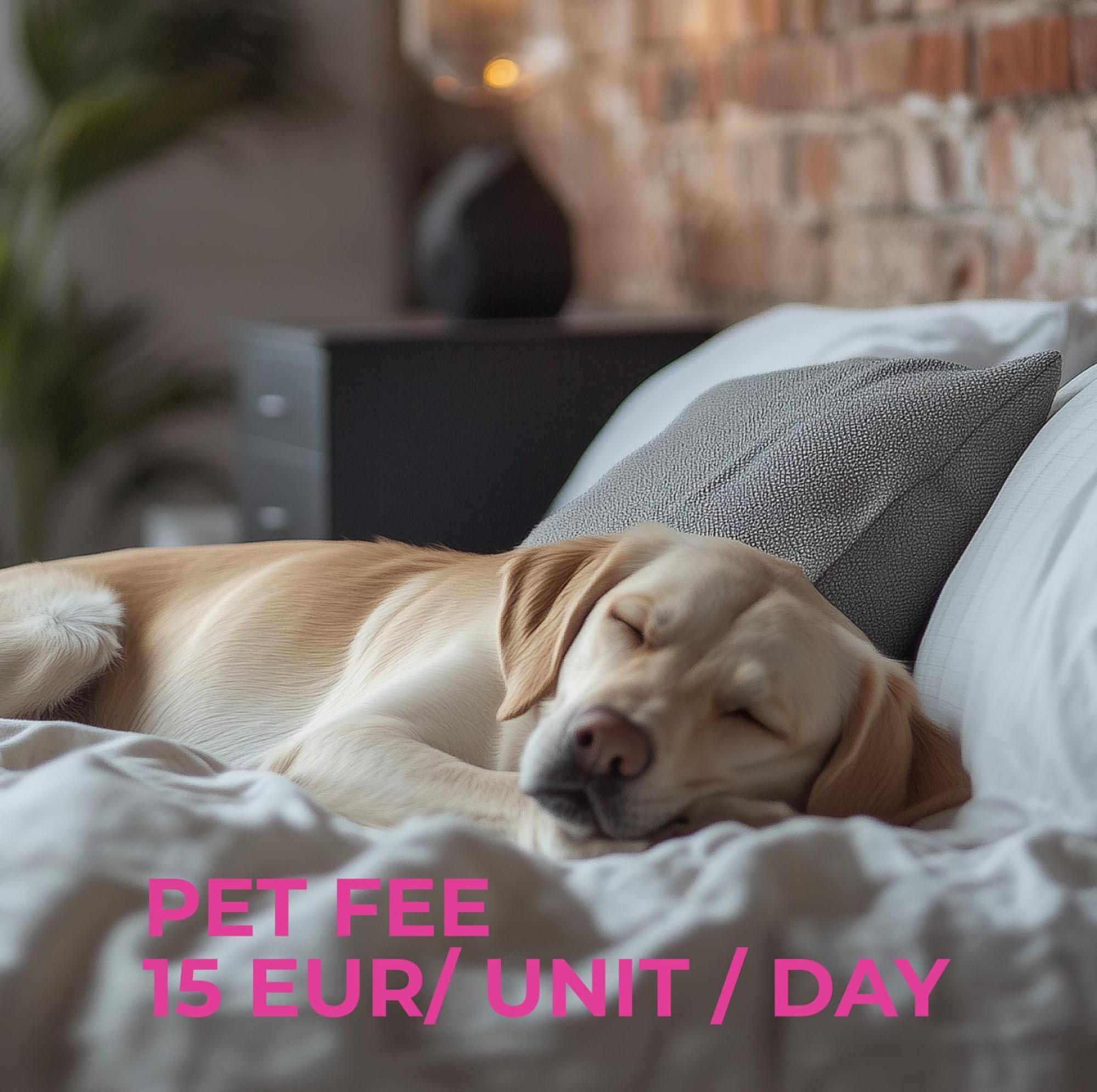 Cute Apartment Siauliai Free Parking المظهر الخارجي الصورة